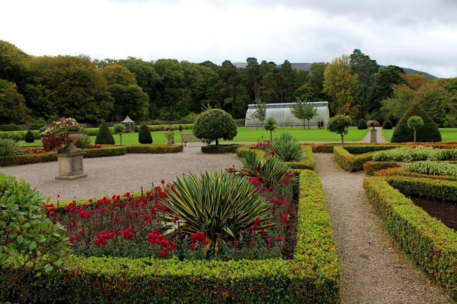 Killarney jaunting car tours