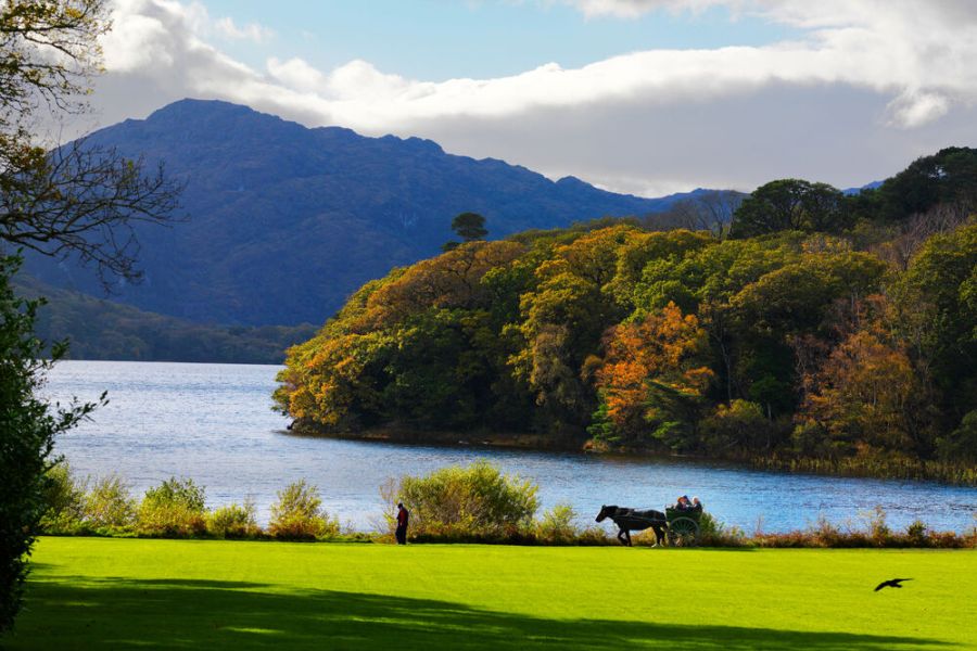 Killarney jaunting car tours