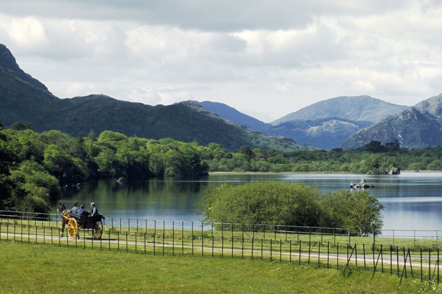 Killarney jaunting car tours