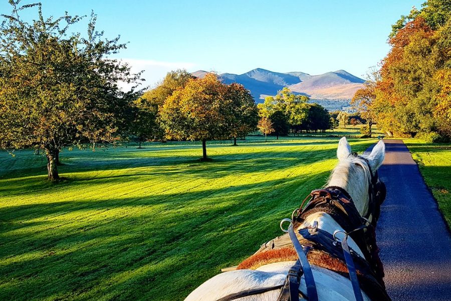 Killarney jaunting car tours