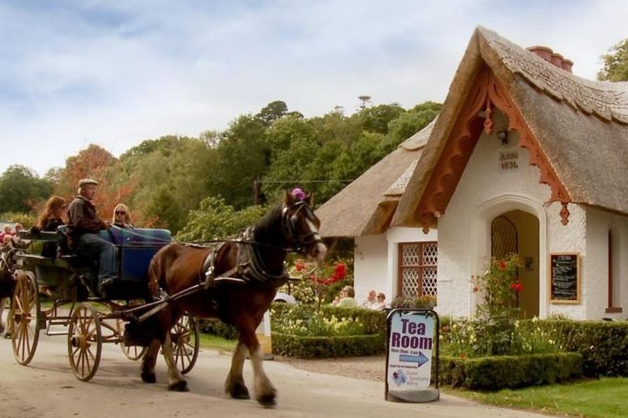 Killarney jaunting car tours