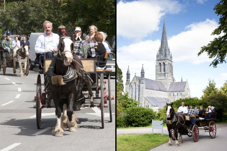 Killarney jaunting car tours