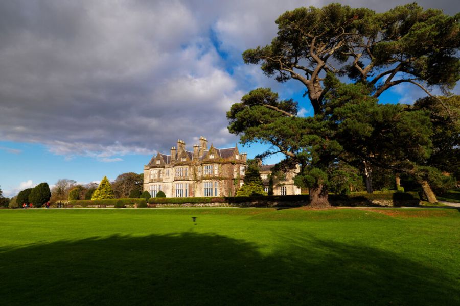 Killarney jaunting car tours