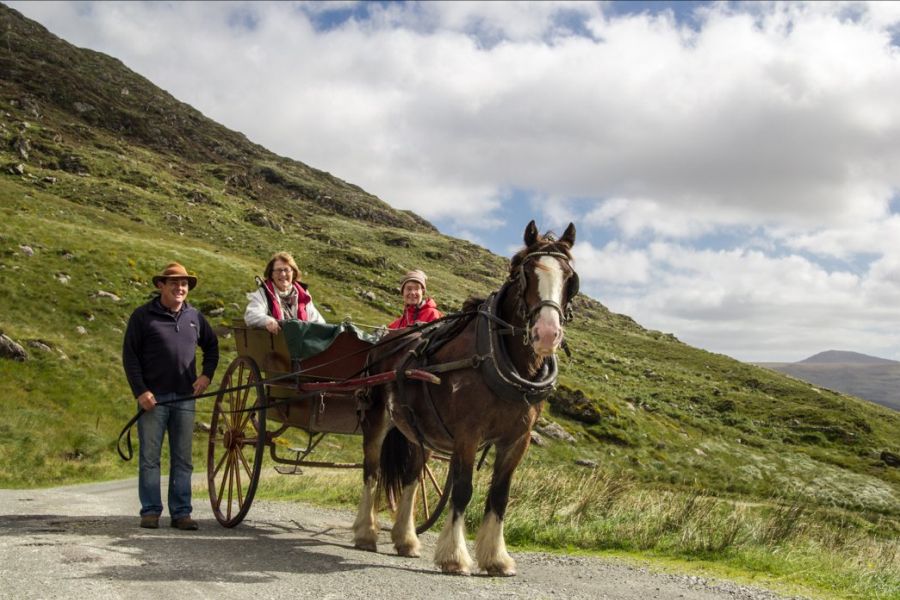 Killarney jaunting car tours