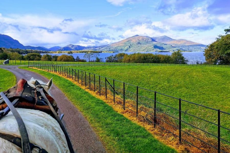 Killarney jaunting car tours