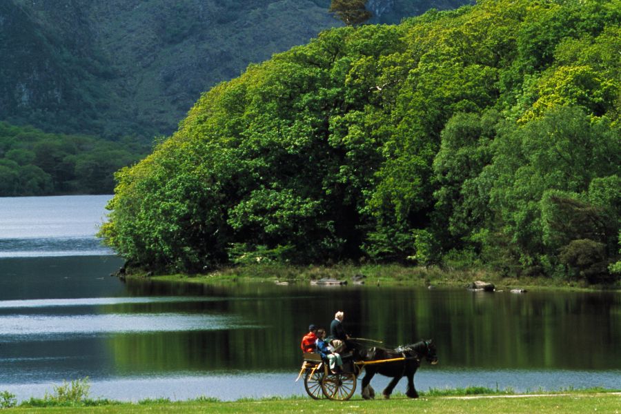 Killarney jaunting car tours