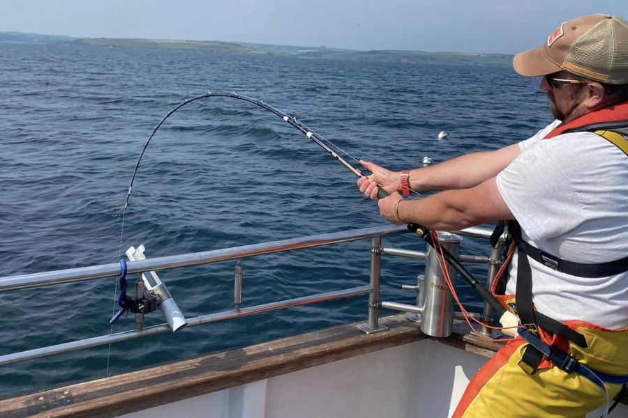 Zeevissen vanuit Courtmacsherry