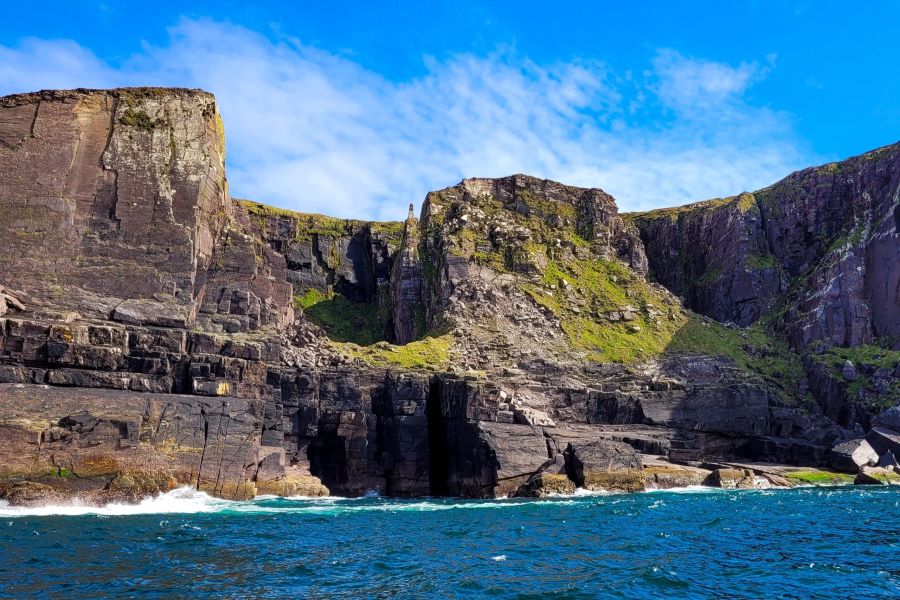 Wildlife Eco Cruise - Valentia Island