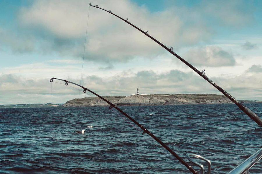 Zeevissen vanuit Kinsale