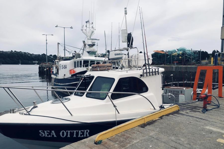 Zeevissen vanuit Kinsale