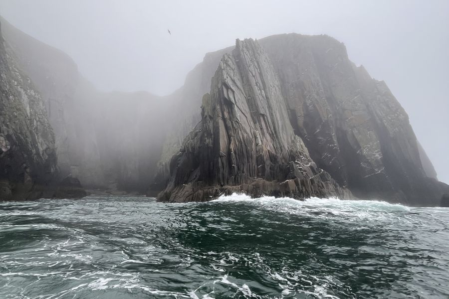 Dingle Sea Safari - Dingle