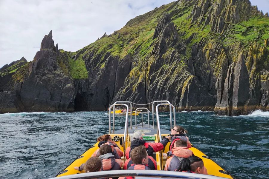 Dingle Sea Safari - Dingle