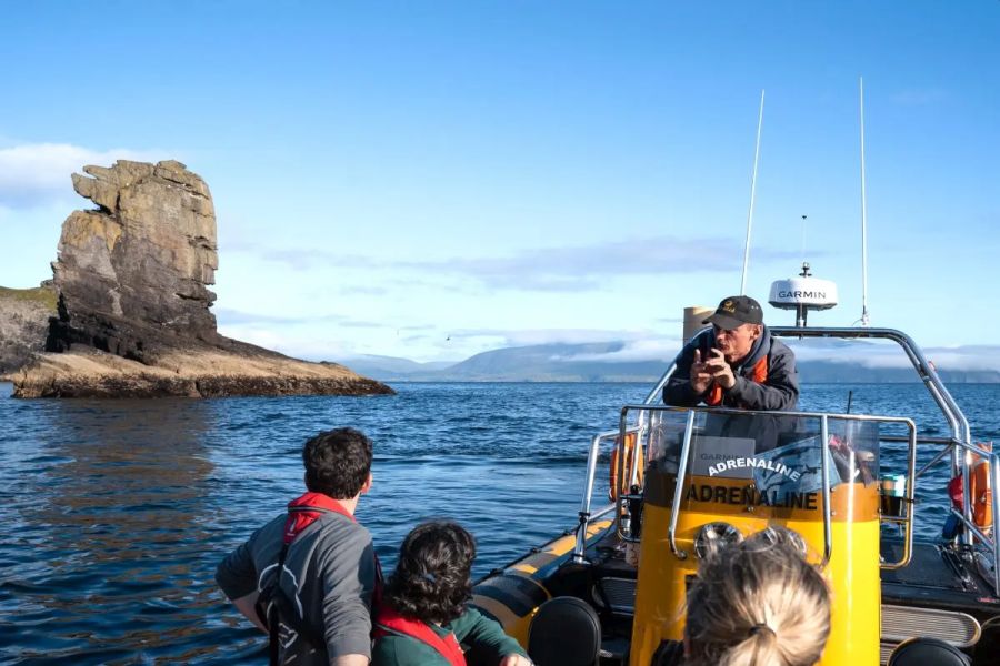 Dingle Sea Safari - Dingle