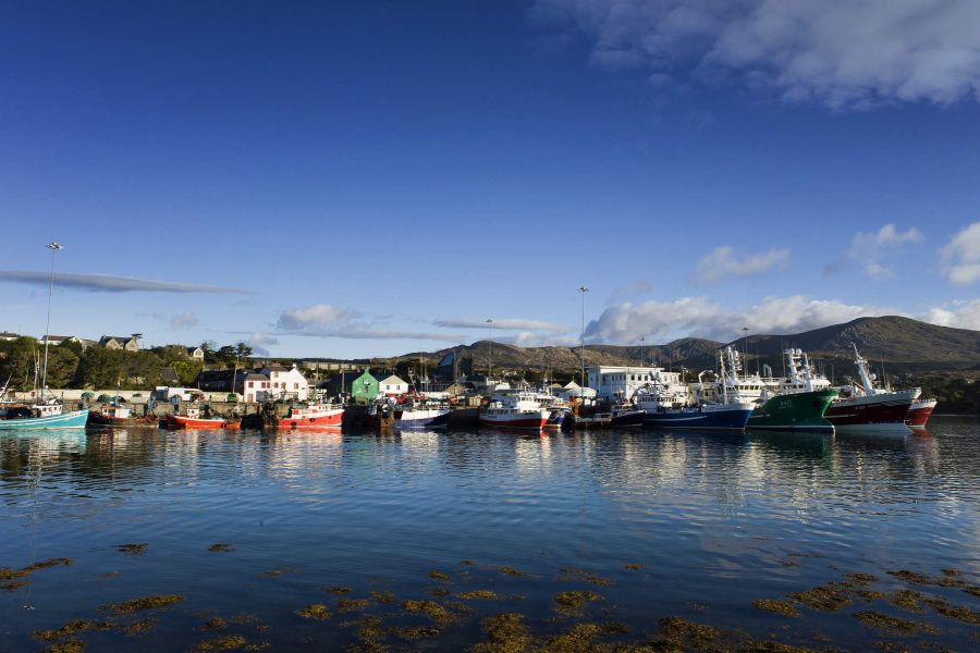 Uitzicht op de bootjes in Castletownbere