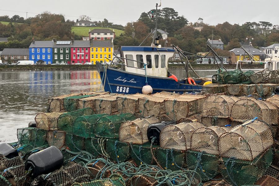 De haven van Bantry met gekleurde huisjes op de achtergrond