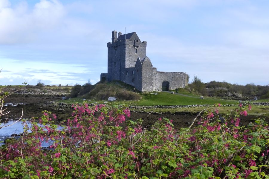 Dunguaire Castle korte reis Ierland