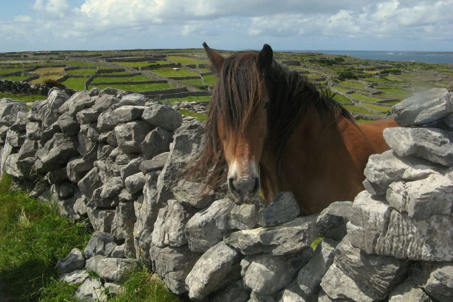 Aran Islands korte reis Ierland