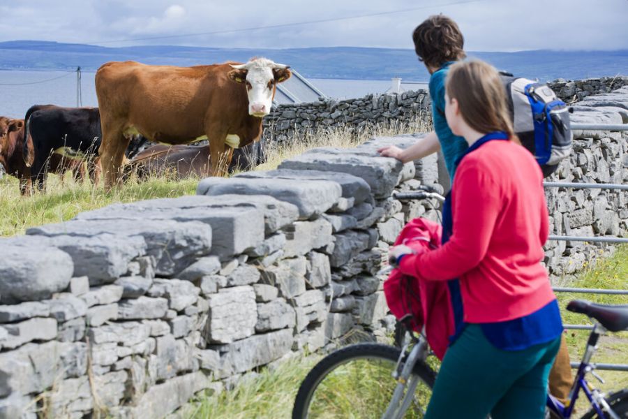 Aran Islands korte reis Ierland