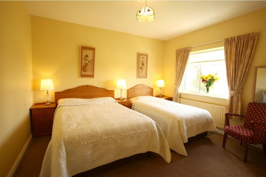 Brooklodge B&B, Westport