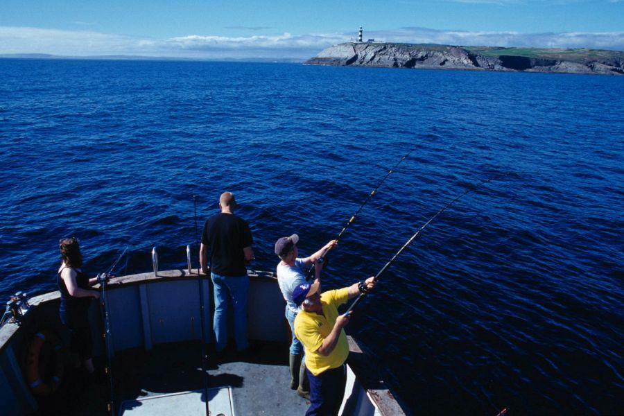 Zeevissen - Trident Hotel, Kinsale
