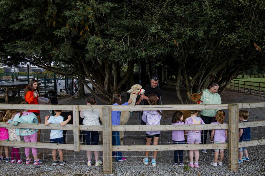 Kinderboerderij - Fitzgeralds Woodlands House Hotel & Spa - Adare