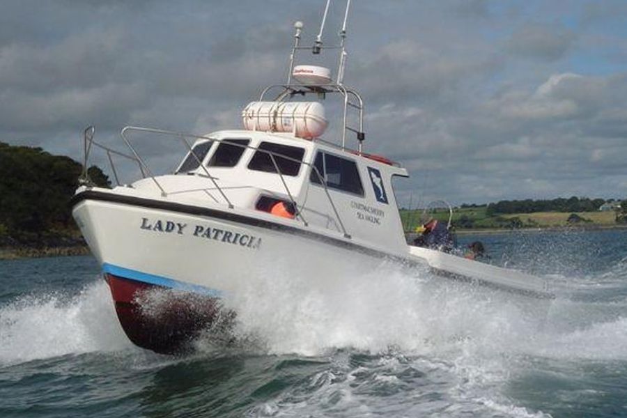 Zeevissen - Woodpoint House B&B - Courtmacsherry