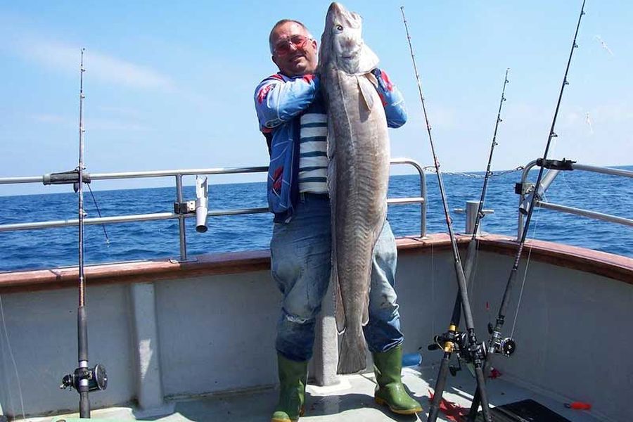 Zeevissen Ierland - Woodpoint House B&B - Courtmacsherry