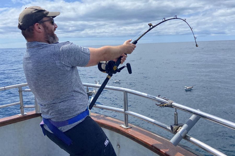 Zeevissen Ierland - Woodpoint House B&B - Courtmacsherry