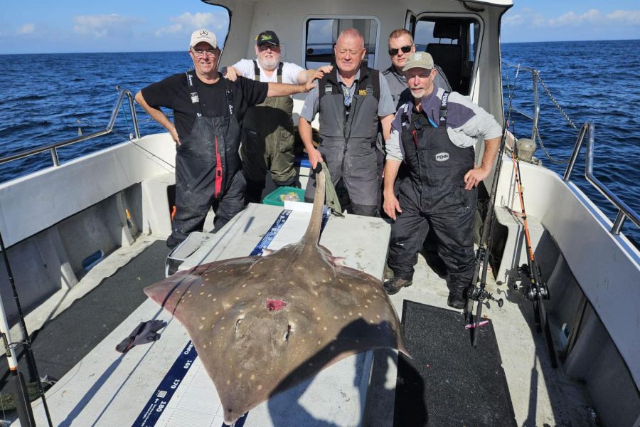 Zeevissen Ierland - Woodpoint House B&B - Courtmacsherry