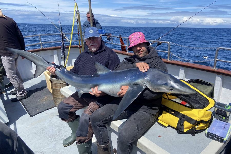 Zeevissen Ierland - Woodpoint House B&B - Courtmacsherry