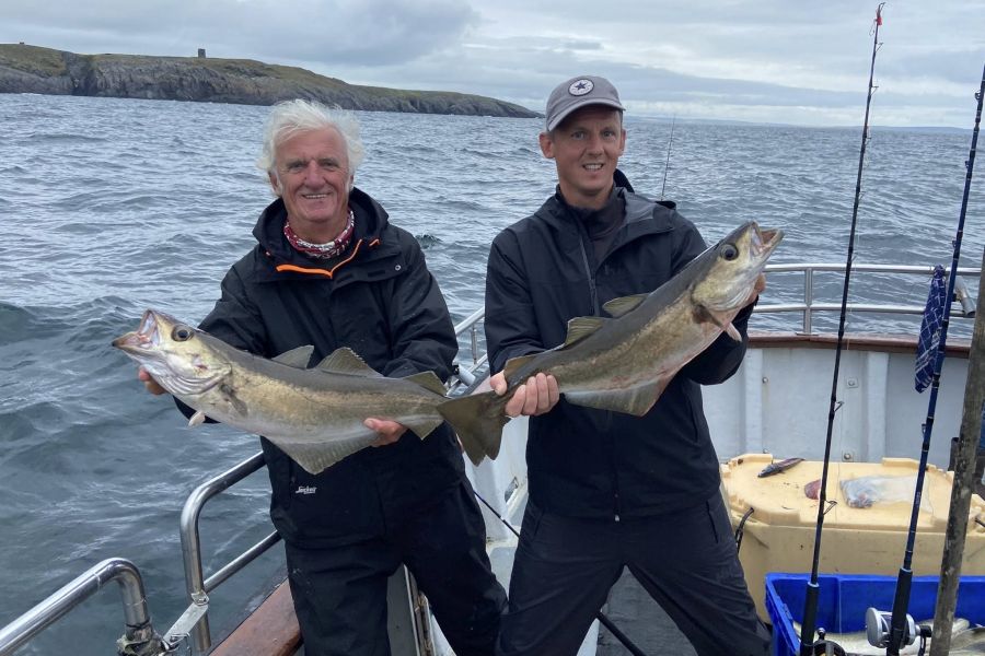 Zeevissen Ierland - Woodpoint House B&B - Courtmacsherry