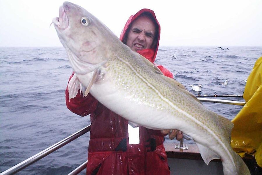 Zeevissen Ierland - Woodpoint House B&B - Courtmacsherry