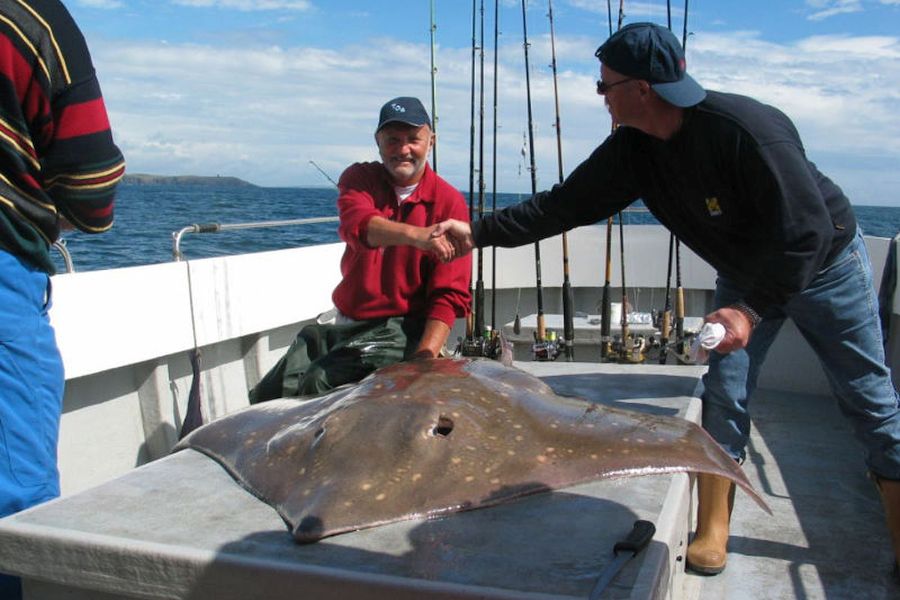 Zeevissen Ierland - Woodpoint House B&B - Courtmacsherry