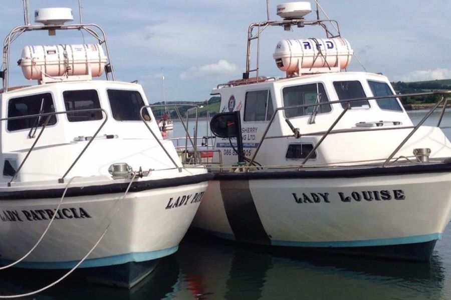 Zeevissen Ierland - Woodpoint House B&B - Courtmacsherry