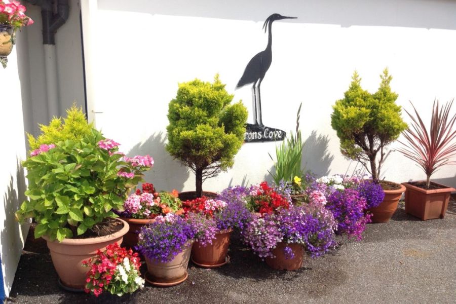 The Heron`s Cove B&B - Goleen