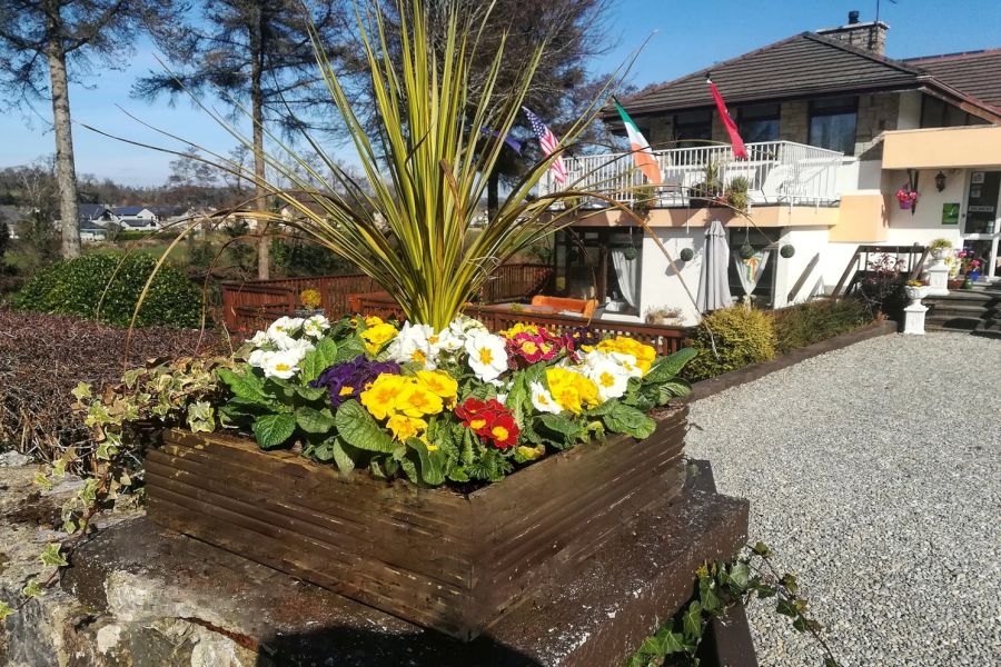 Killarney View House B&B - Killarney