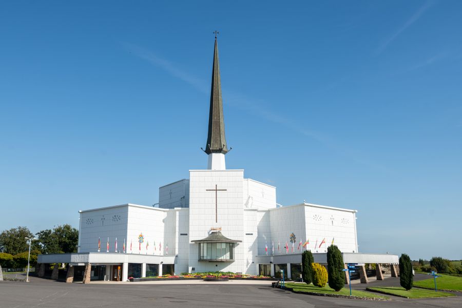 Knock basiliek