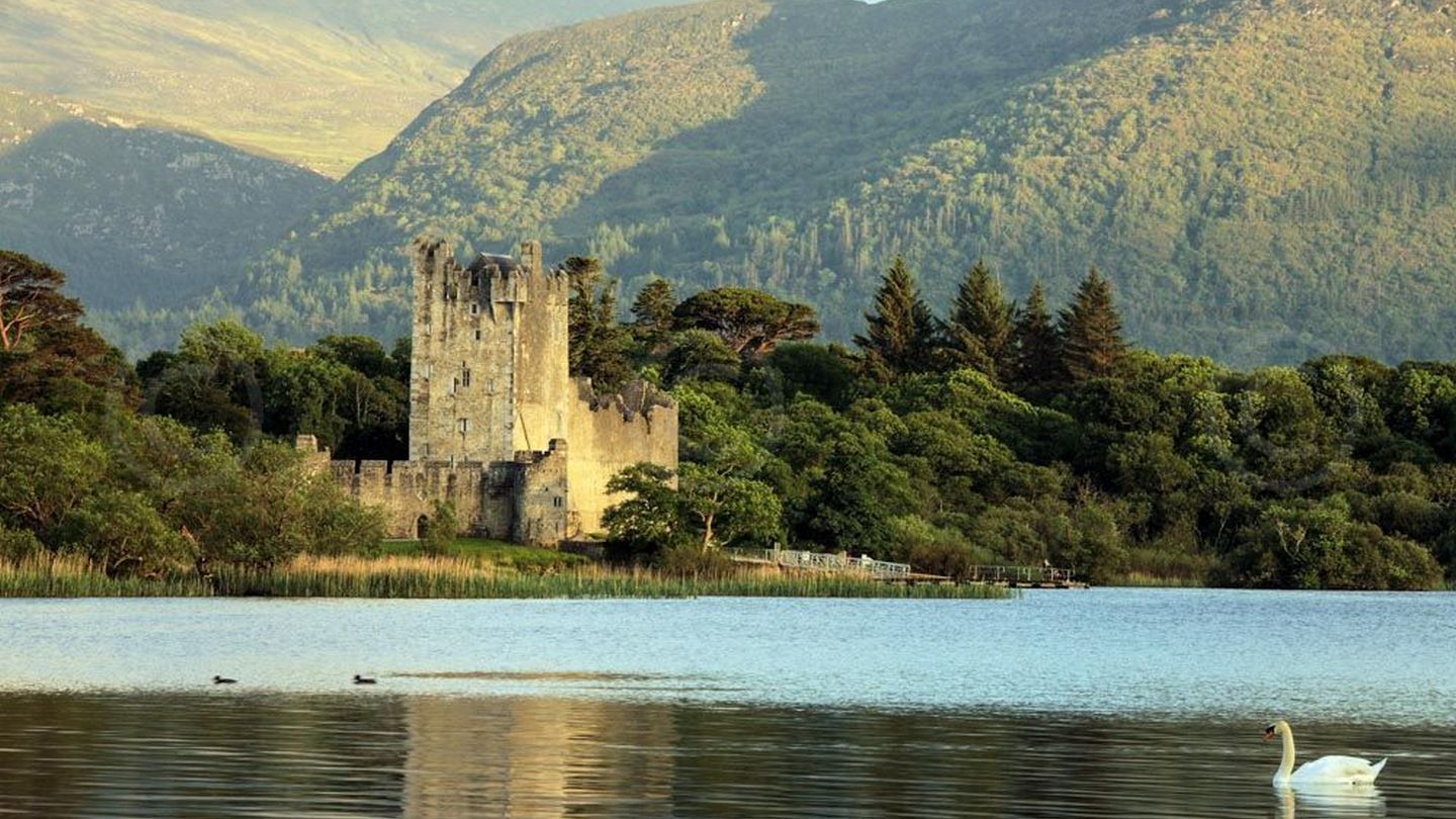 Abbey Lodge B&B - Killarney afbeelding