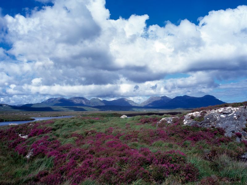 daterend over 50 Ierland