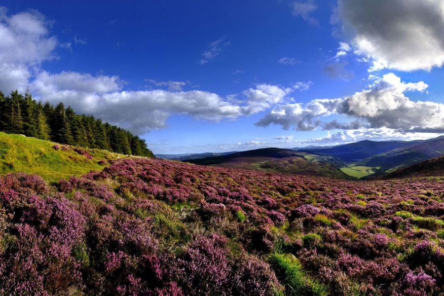 Wicklow Mountains autorondreis Ierland luxe