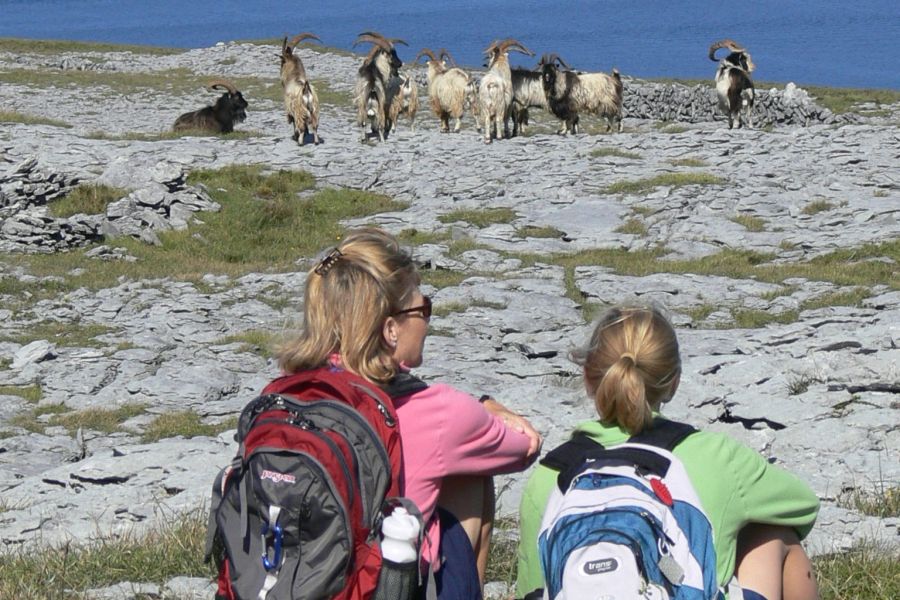 The Burren autorondreis Ierland hotels