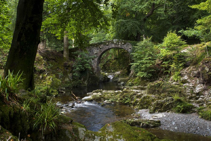 Tollymore - The Haunted Forest autorondreis Ierland Game of Thrones
