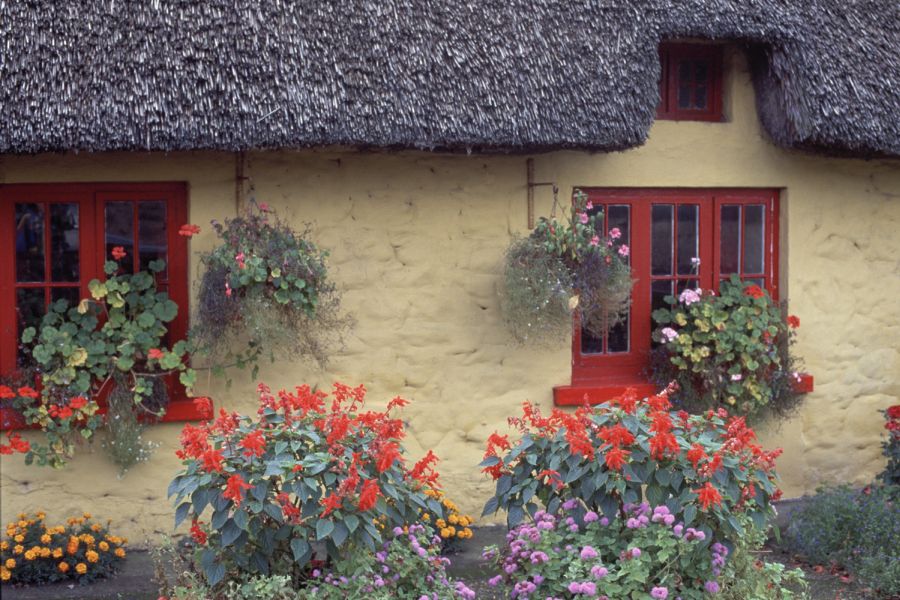 Adare cottages autorondreis Ierland luxe