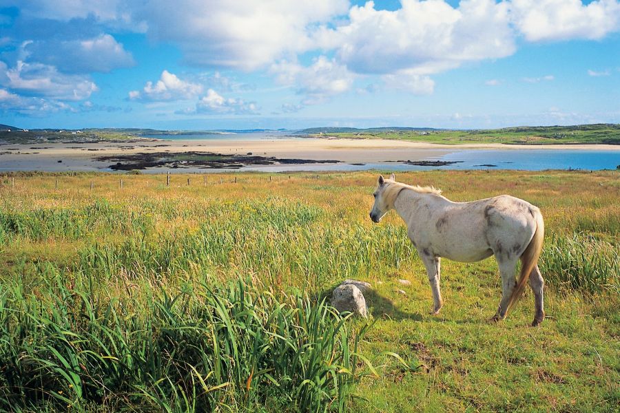 Connemara autorondreis Ierland luxe
