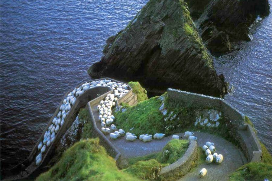 Dingle Dunquin autorondreis Ierland Inns