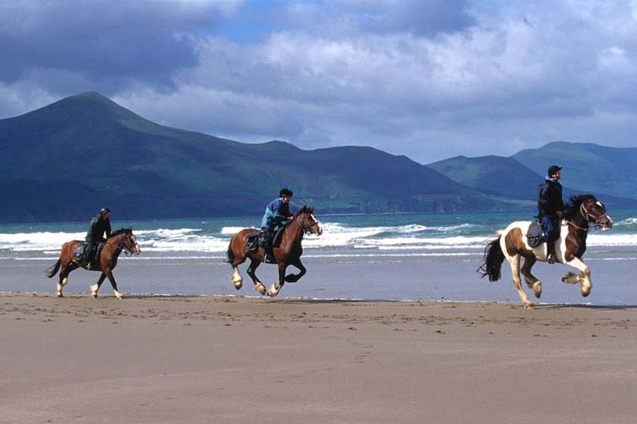 Modderig Vervelen Vrouw Ierland paardrijden, paardrij vakantie Ierland
