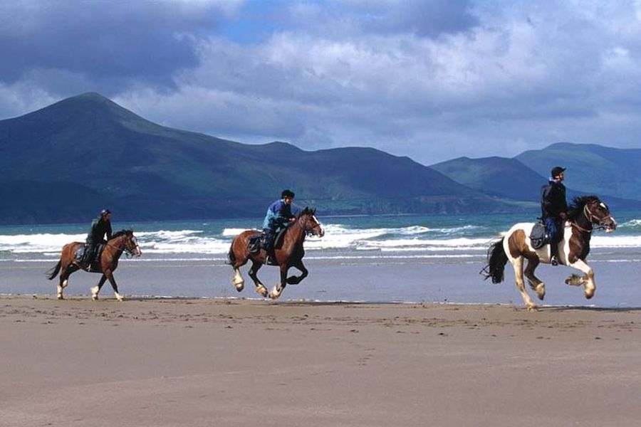 Ring Of Kerry paardrijtrektocht Killarney, 4 dagen