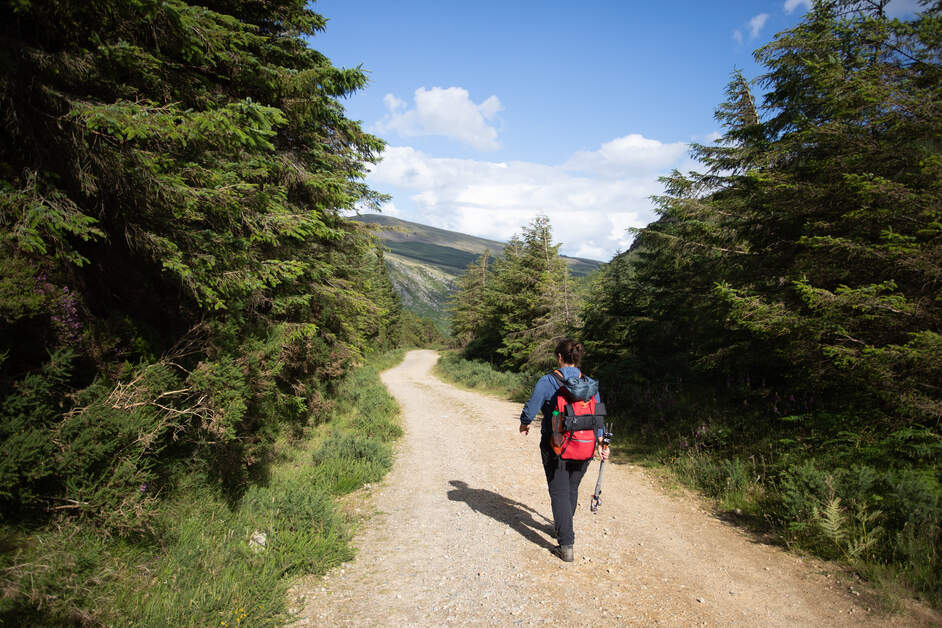 Een wandelaar door de Wicklow Mountains