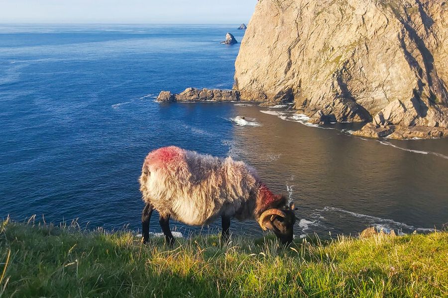 Donegal Wandeltrektocht - Individueel - Vlucht vanaf Groningen
