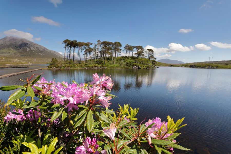 Connemara meer